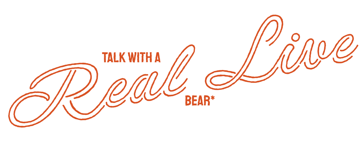 Contact form header that says you can talk with a real-live bear.